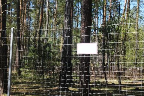Fence mesh in the forest. Danger zone Fotos Stock