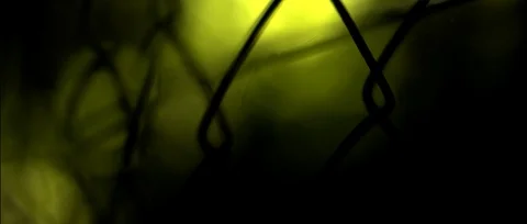 Fence Metal Forest Stock Footage 91769281