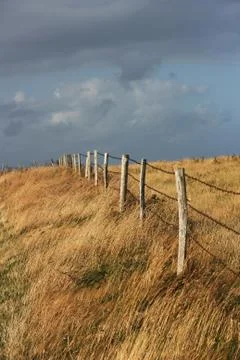 Fence in nature Stock Photos