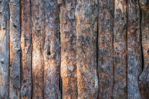 Fence of old pine logs with cracks and bark Stock Photos