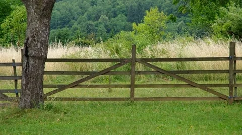 Fence in the orchard Stock Footage 52209676