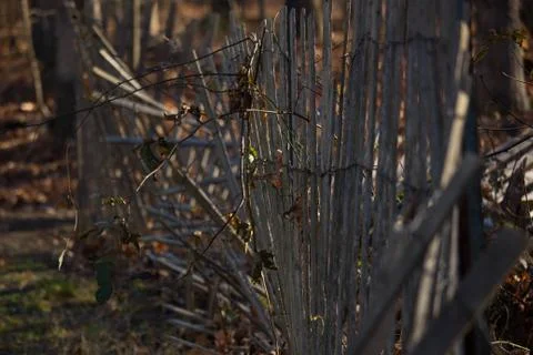 Fence at park Stock Photos