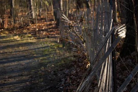 Fence at park Stock Photos