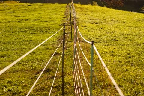 Fence in pasture to dive the ground Stock Photos