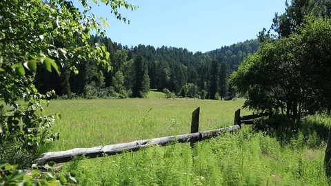 Fence pasture Stock Footage 105946559
