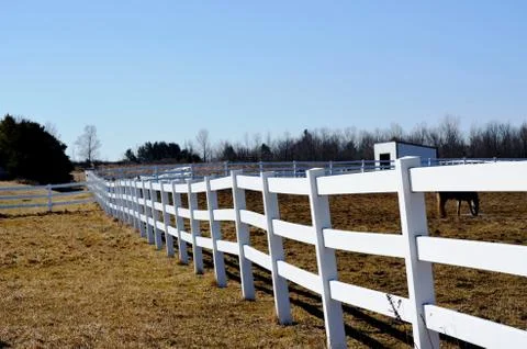 Fence in the pasture Stock Photos