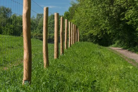 Fence of a pasture Stock Photos
