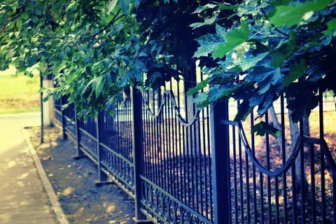 Fence pattern perspective Stock Photos