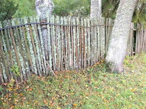  fence Stock Photos