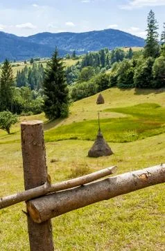 The fence Stockfoto's