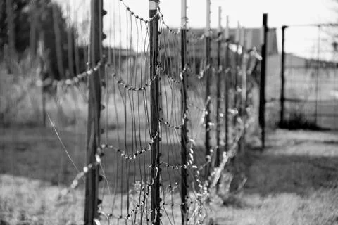 Fence Stock Photos