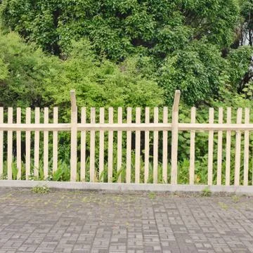 Fence Stock Photos