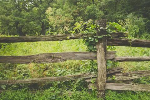 Fence Stock Photos