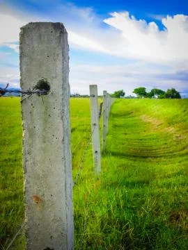 The Fence Stock Photos