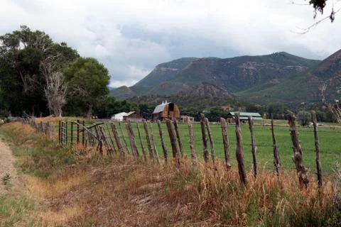 The Fence Stock Photos