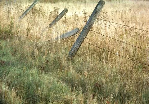 Fence Stock Photos