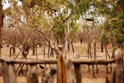 Fence Fotos de archivo