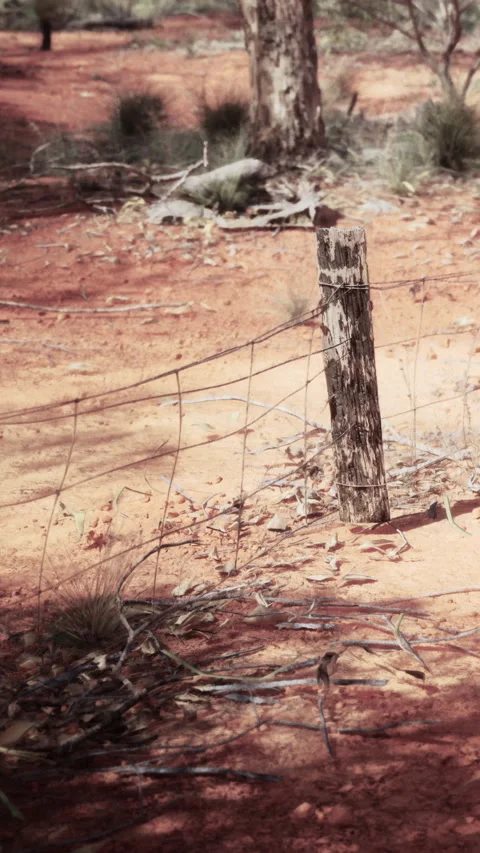 Fence post along a dirt path in a rural area with sparse vegetation Stock Footage 342707936