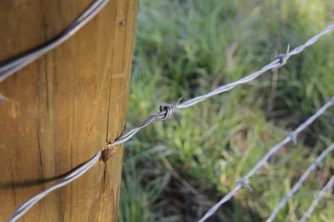 Fence Post and Barbed Wire Stock Photos