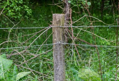 Fence Post With Chicken Wire Foto stock