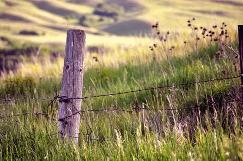 Fence Post in Field Stock Photos