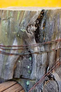 Fence post made of an old weathered log, wrapped in old, rusty barbed wire. Stock Photos
