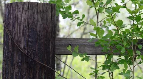 Fence post Stock Photos