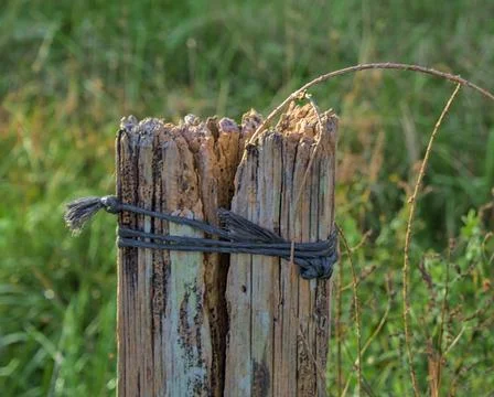 Fence post Foto stock