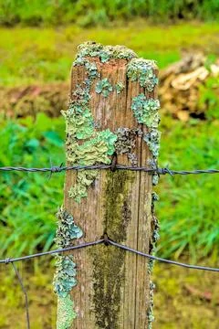 Fence post Stock Photos
