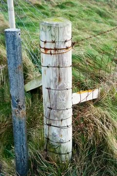 Fence post Stock Photos