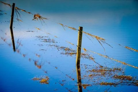 Fence post reflections in a flooded field, Scotland Stock Photos