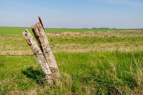 A fence post is standing in a field with a wire fence around it Stock Photos