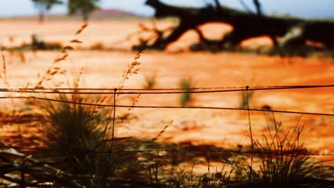 Fence post with wire in a dry landscape during the day in rural Australia Stock Footage 339503943