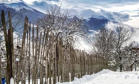 Fence posts in front of trees in a snowy garden. surrounded by snowy peak m.. Stock Photos