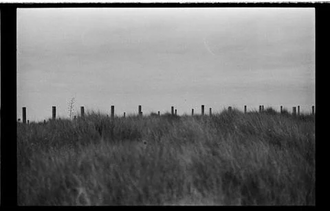 Fence Posts Rising Above Dark Coastal Grass Stock Photos