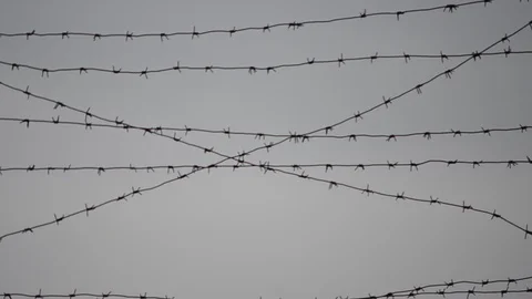 Fence in the prison of power of detention. Stock Footage 102241596