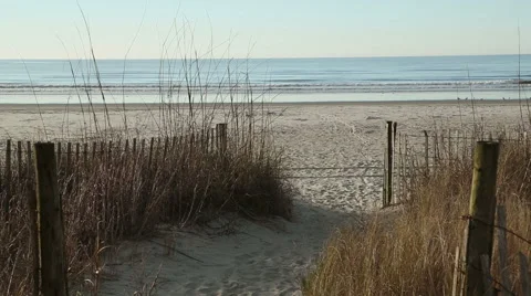 Fence protection on beach Stock Footage 49228920