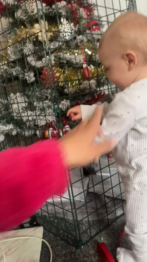 Fence Protects Christmas Tree From Curious Toddler, Chickerell, Weymouth, Englan Stock Footage 326367417