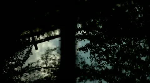 Fence reflected in pond Video stock 12451745