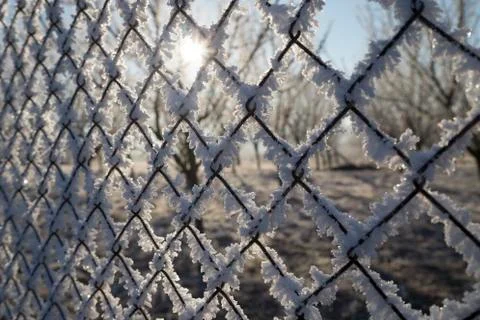 Fence with rime Stock Photos