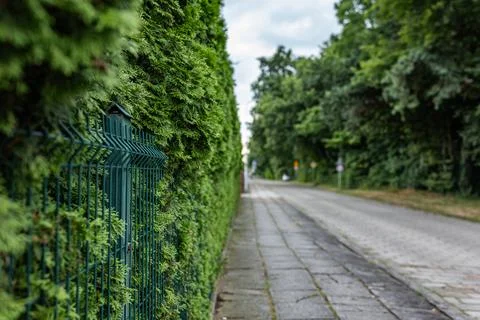 Fence running next to plot along road in suburban Foto stock