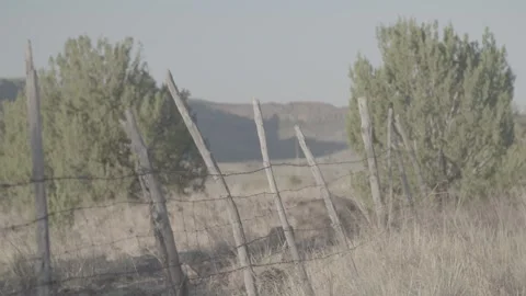Fence on a rural ranch Stock Footage 290022559