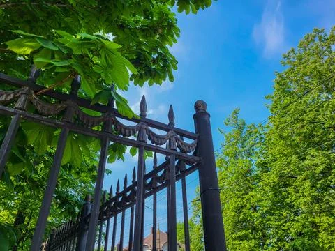 A fence with sharp tips on a background of green chestnut leaves and blue sky Foto stock