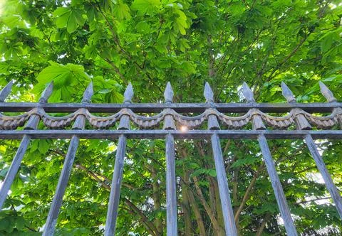 A fence with sharp tips on a background of green chestnut leaves Stockfoto's