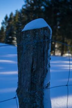 Fence with snow Foto stock