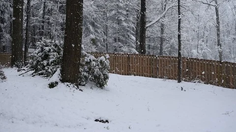 Fence Snowfall Video stock 87303142