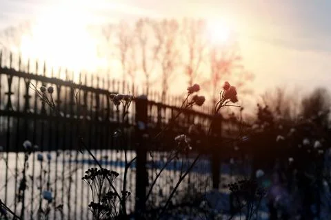 Fence with spikes sun Foto stock