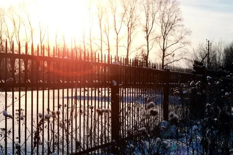 Fence with spikes sun Foto stock