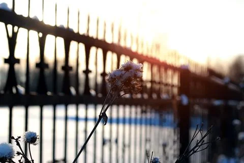 Fence with spikes sun Foto stock