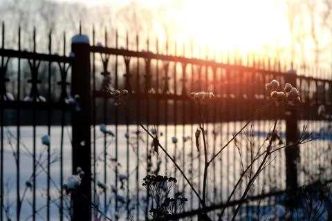 Fence with spikes sun Foto stock
